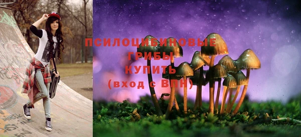 a pvp Алексин