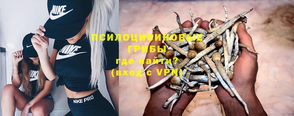 a pvp Алексин